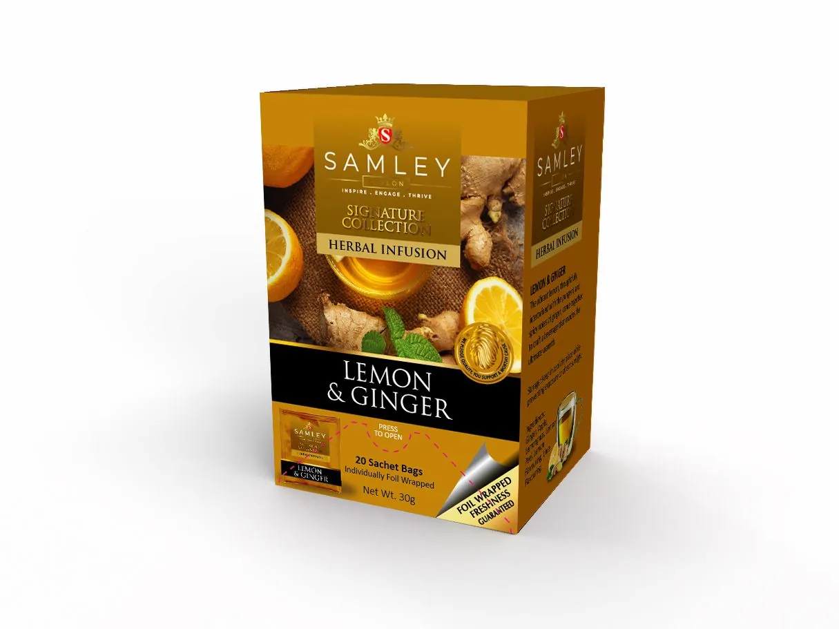 Ginger & Lemon 20 TB Double Chamber Foiled Envelop (30g)